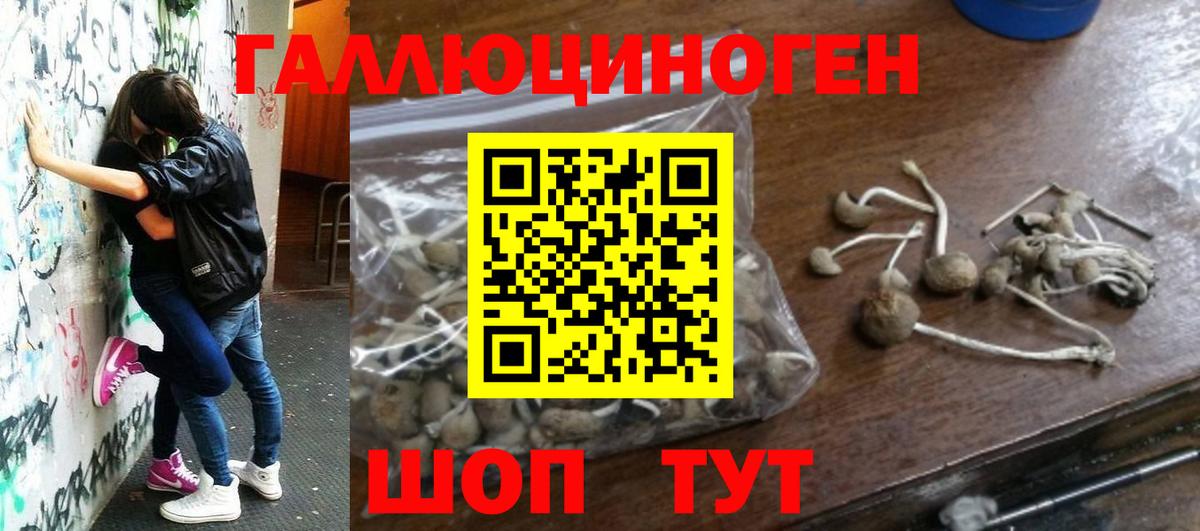 Россошь  Галлюциногенные грибы Psilocybine cubensis  Вход с VPN  Галлюциногенные грибы прущие грибы 